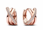 Aretes Argolla Cruzada GR